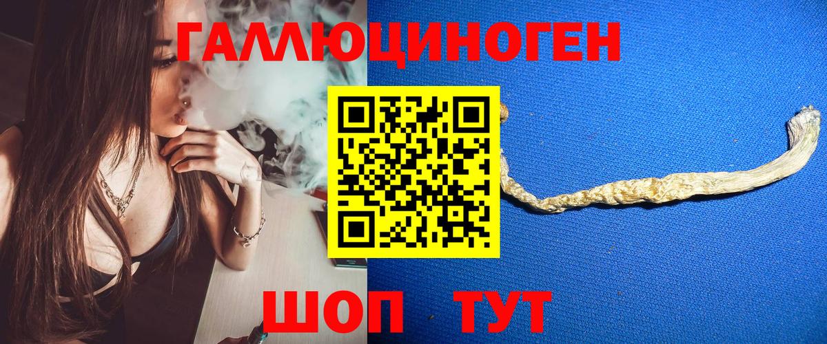 Псилоцибиновые грибы GOLDEN TEACHER Конаково