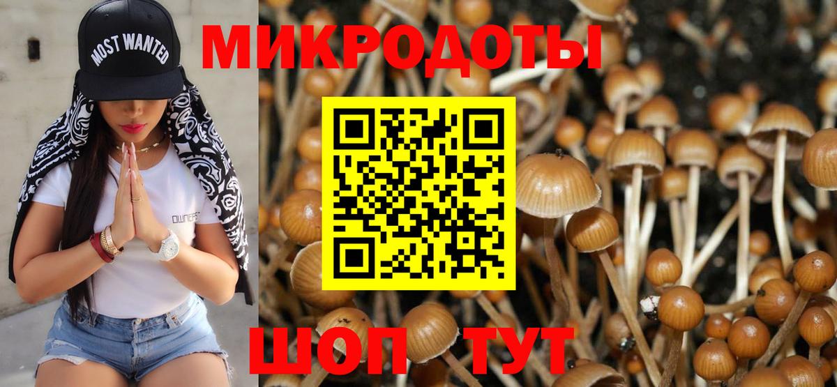 Конаково  Галлюциногенные грибы мицелий  Вход с VPN  Псилоцибиновые грибы Psilocybine cubensis 
